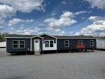 Cassa - Image 2